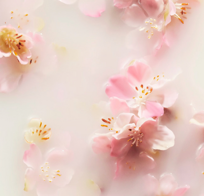 The Ritual of Sakura - Coffret Voyage